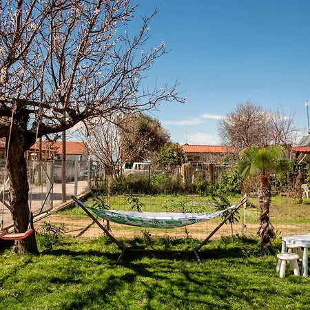 Holiday home Omonia House 2 *